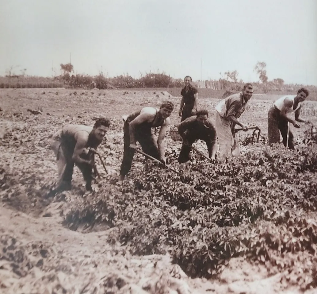 Anem a l’hort, història de l’agricultura a Vilassar de Mar