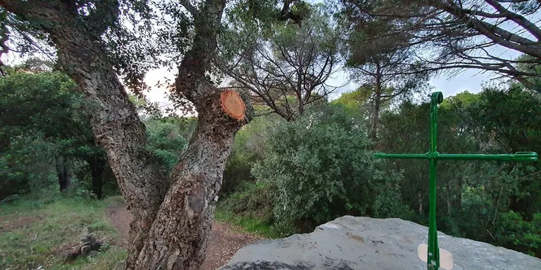 Un grup de pinedencs restauren una pilona de pedra en terme històric de Sant Pere de Riu