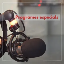 Radio Mollet Especials del 31/12/2017 - episode art