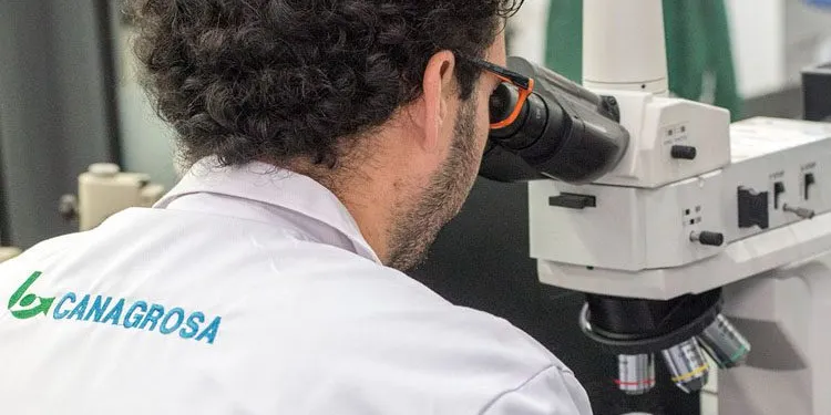 La tecnología punta desembarca en Utrera con la creación de medio centenar de puestos de trabajo