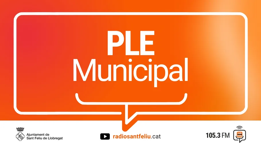 El Ple Municipal