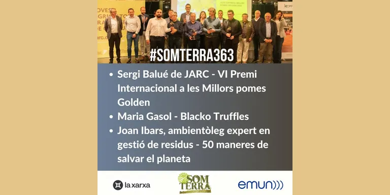 Som Terra 363