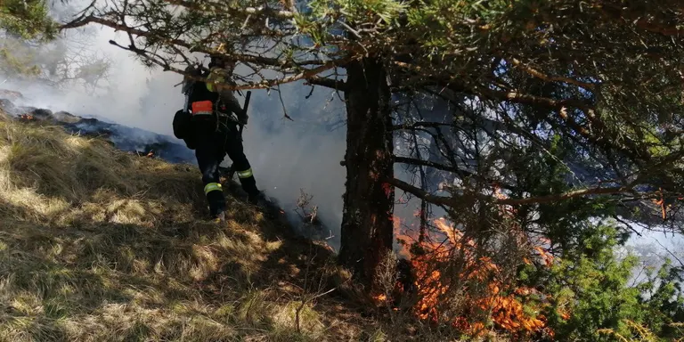 Els Bombers de la Generalitat extingeixen un incendi de vegetació a Ars