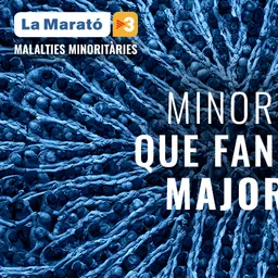 L'entrevista - La Marató 2019 del 27/11/2019 - episode art