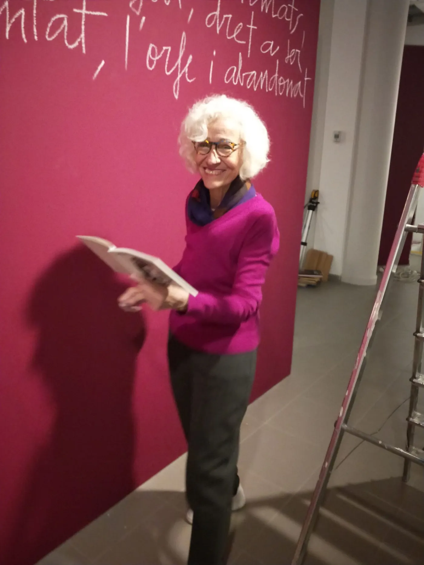 Carme Solé Vendrell presenta la mostra “Why? Valls”