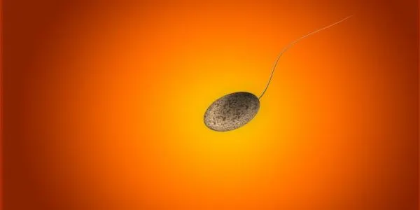 Es busquen voluntaris homes d'entre 18 i 40 anys per un estudi de fertilitat