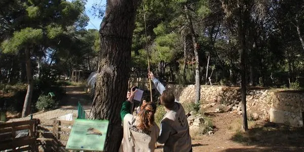 Mig miler de persones condicionen la Finca del Canyadell d'Altafulla en una actuació exprés, aquest dijous