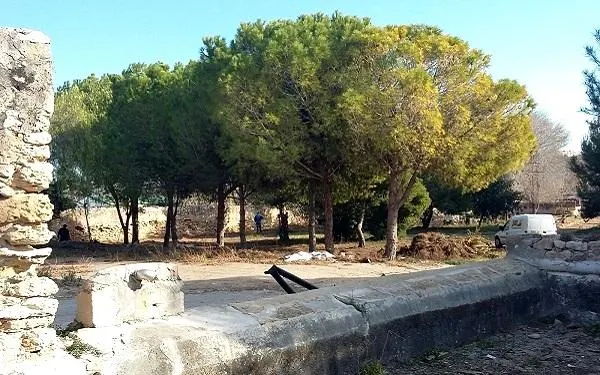 Foto: Altafulla Ràdio
