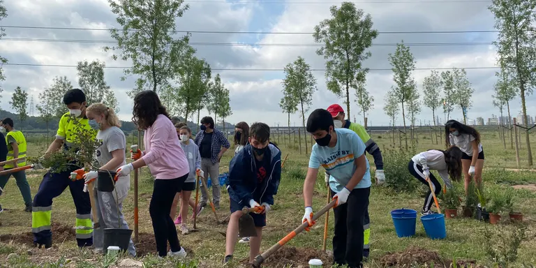 L'Associació Aurora mantindrà els treballs a la zona de la plantada per recuperar la biodiversitat
