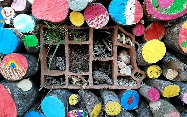 Foto: Escola de Naturalistes