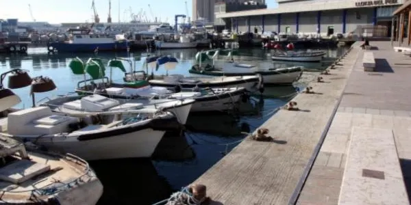 Torna a l’activitat la flota d’arrossegament de Tarragona, després de la veda que realitza cada any durant els mesos de maig i juny