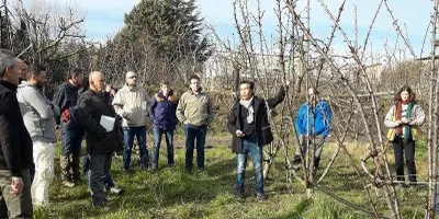 Oliana estudia la possibilitat de nous cultius al municipi