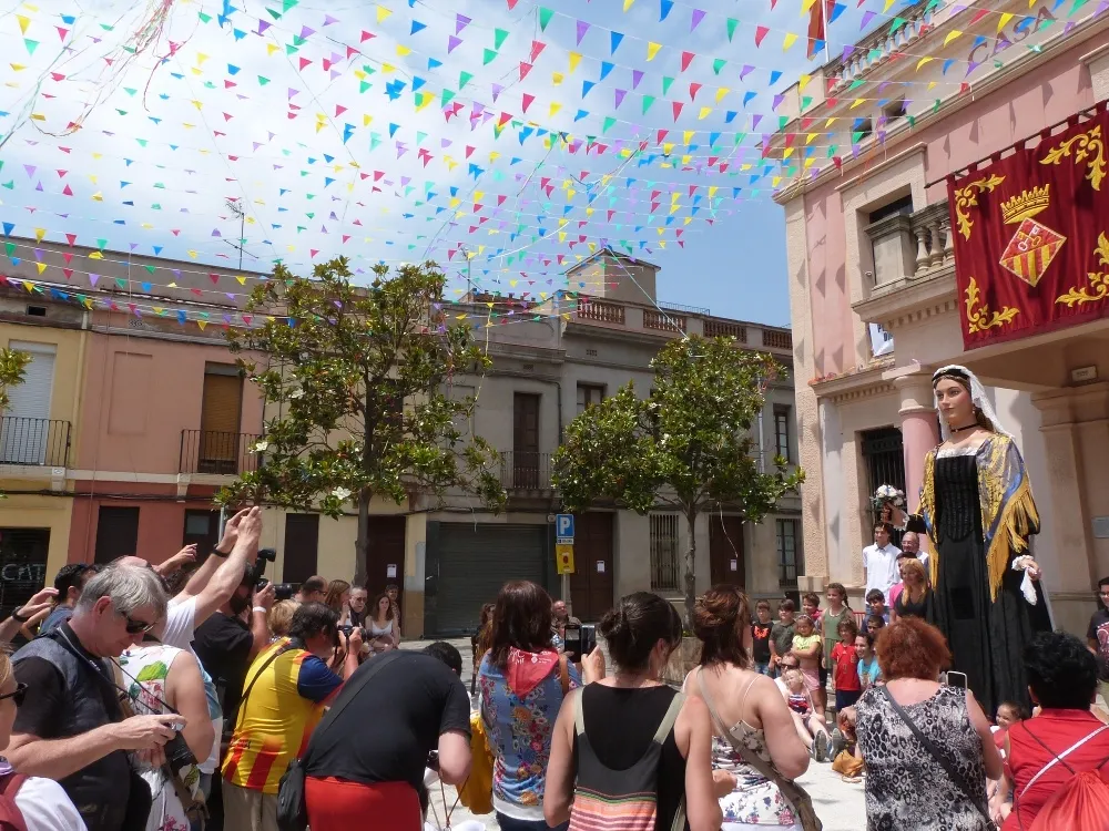 Tothom volia fer la seva pròpia foto