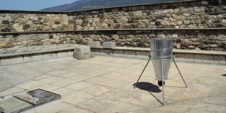 La Seu redueix un 30% la població de coloms en dos anys