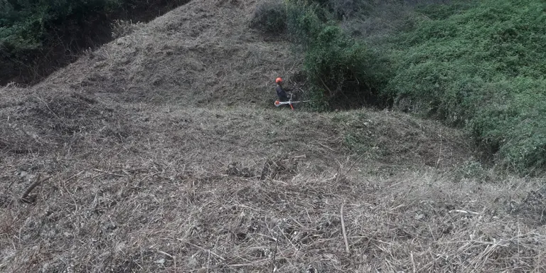 Comencen les tasques de manteniment de la franja forestal perimetral de Can Carreras