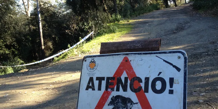 Ciclistes de muntanya, excursionistes i caçadors demanen poder fer cadascú la seva activitat al bosc amb seguretat