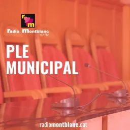 #53 - Ple Municipal de Montblanc 27/10/2026 - episode art