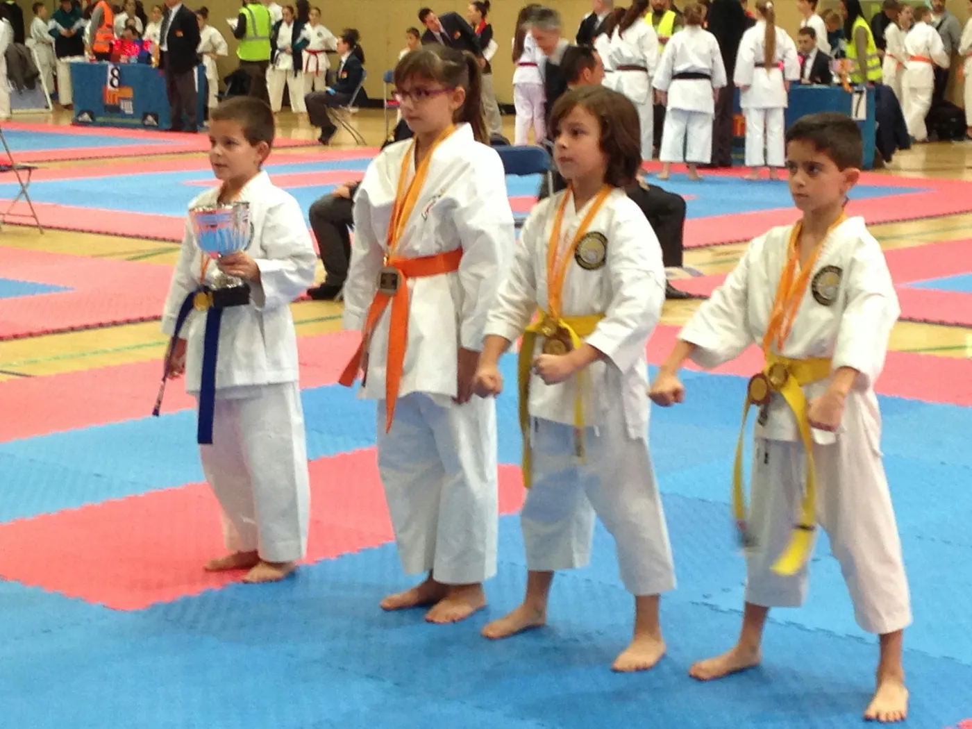 Karate Kobudo 2014-2015 - Campionat de Catalunya
