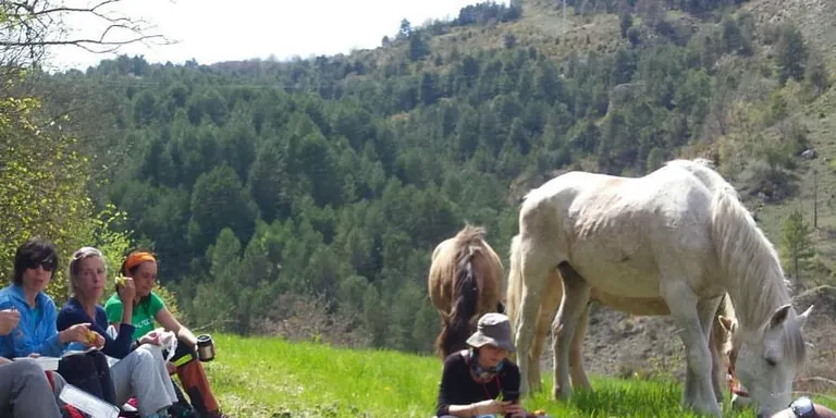 Projecte Miranda obre la transhumància de cavalls als visitants