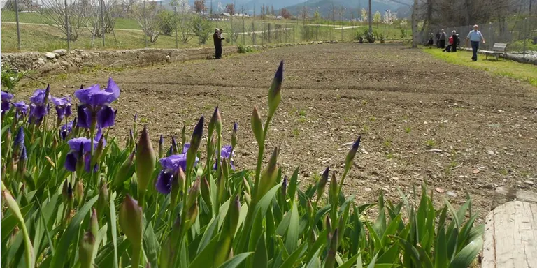 L'Ajuntament de la Seu organitza un curs gratuït d'horticultura ecològica