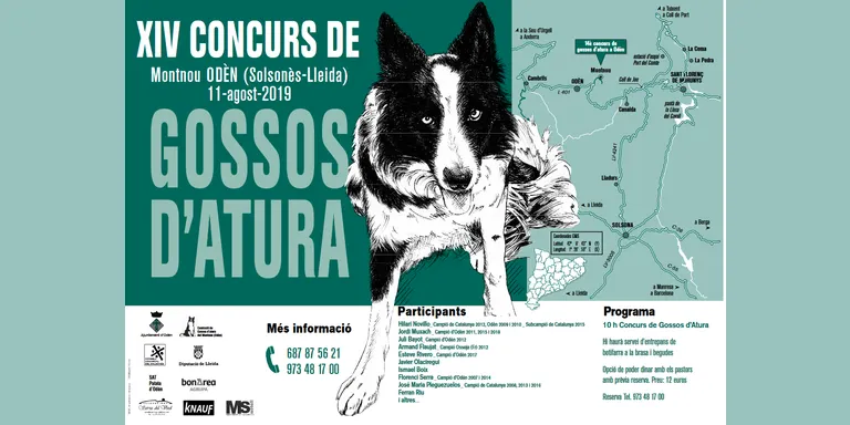 Odèn preveu l'assistència de més de 800 persones al Concurs de gossos d'atura