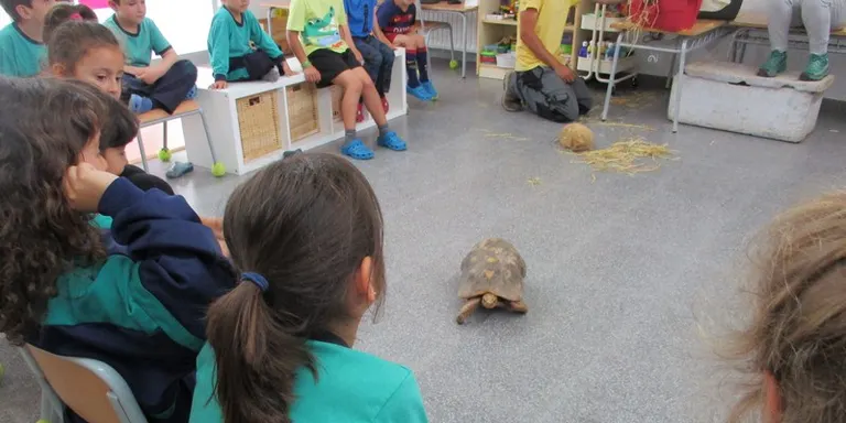 La Generalitat referma la decisió de tancar una línia de P3 a l'escola Montbui el curs vinent