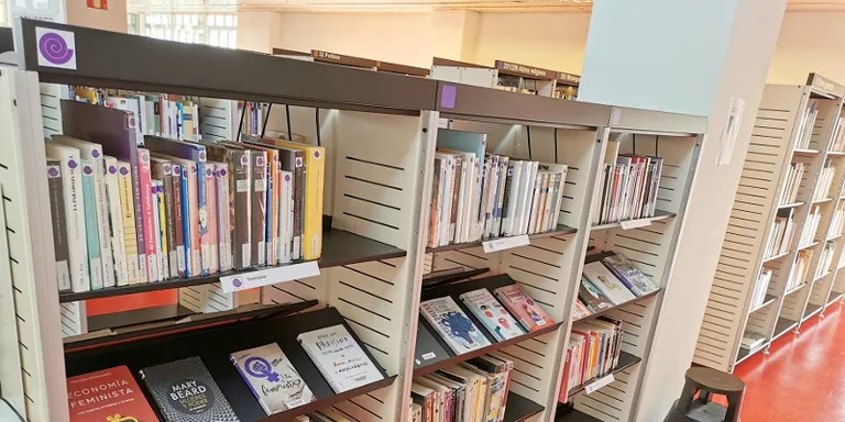 La biblioteca estrena una nova secció de llibres amb perspectiva de gènere