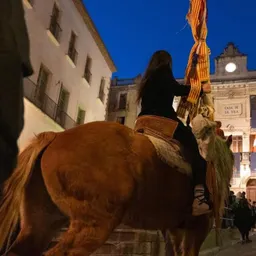 #4 - Entrevistes del 23/12/2025 — Els Tres Tombs de Valls 2026: Tradició i Novetats - episode art