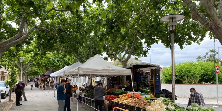 Satisfacció en l'organització i ordre del mercat dels dissabtes al Morell