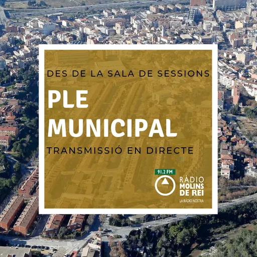 Ple municipal