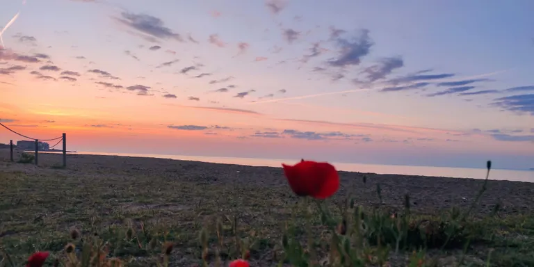 Bon temps i ambient primaveral