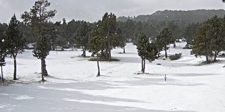 Les estacions d'esquí del Pirineu català acorden amb el Govern obrir aquest dilluns 14 de desembre