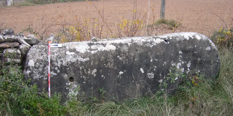 El Consell Comarcal treu a concurs la restauració de tres esteles-menhir
