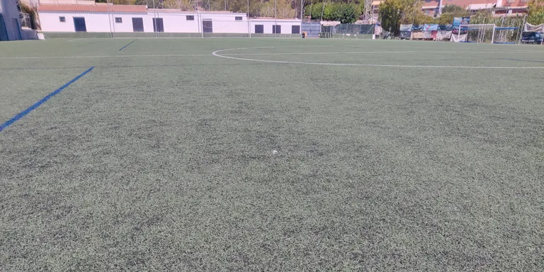 L'elevat cost que suposa la substitució de la gespa del Bernat Coll impedirà que l'actuació tingui lloc aquesta temporada