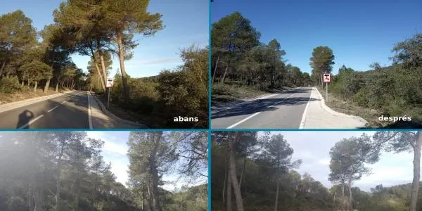 La Diputació de Tarragona du a terme treballs de poda d’arbrat i sega als marges de les carreteres