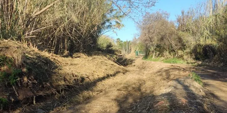 Es realitzen treballs de neteja i manteniment a diversos espais i camins rurals de Constantí