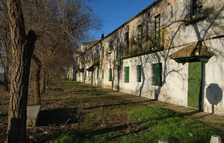 Un paseo por el antiguo poblado de El Torbiscal