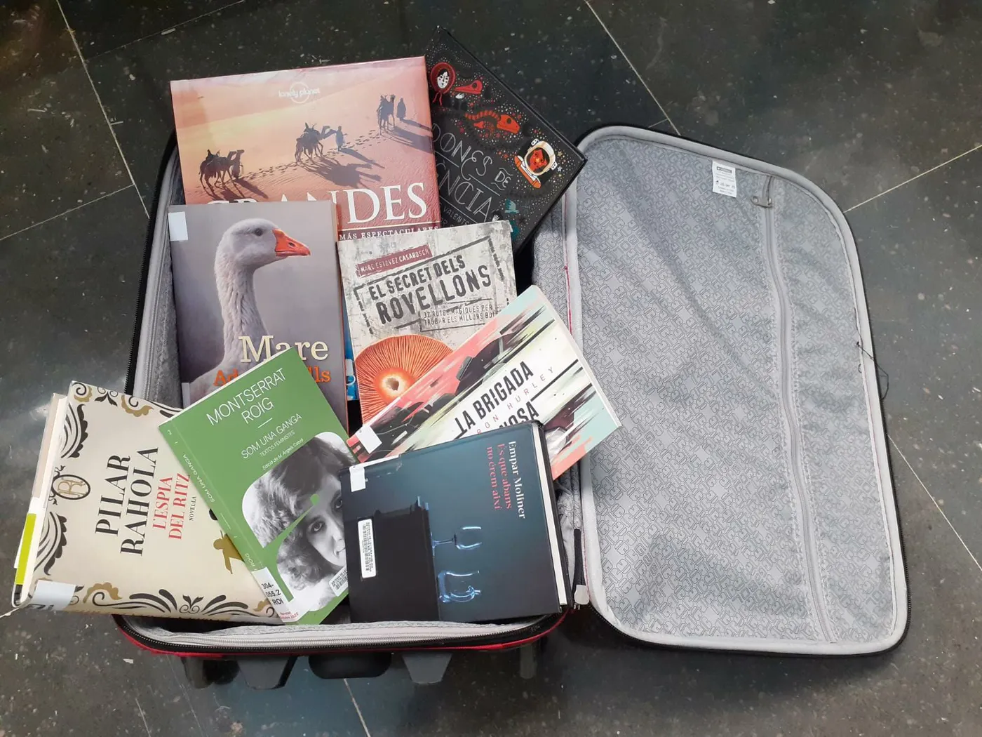 La biblioteca de Solsona posa en marxa un servei de préstec a domicili