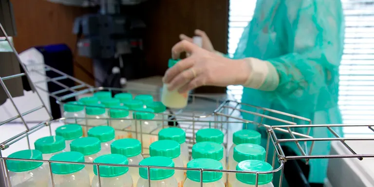Augmenta la donació de llet materna