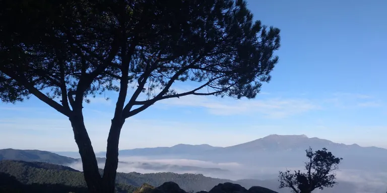Bonança, sol i boires baixes a la costa