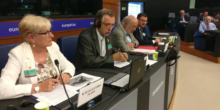 L'Acadèmia Aranesa denuncia a l'Eurocambra "l'abandonament" de la llengua occitana per part de l'Estat espanyol