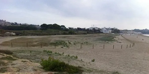 Altafulla participarà aquest dissabte en la tercera jornada de voluntariat ‘Viu la platja!’