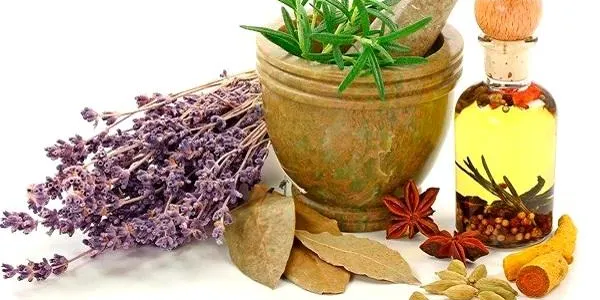 L’Ajuntament d’Altafulla i l’Hort de la Sínia ofereixen la segona edició del taller de farmaciola natural