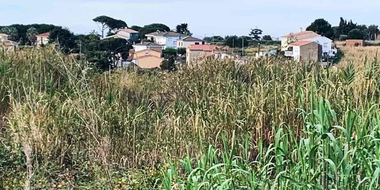 L'Ajuntament demana als propietaris dels solars que els netegin davant el risc d'incendi