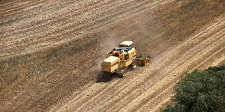 La sequera extrema ha fet caure un 70% la collita de cereal a Catalunya