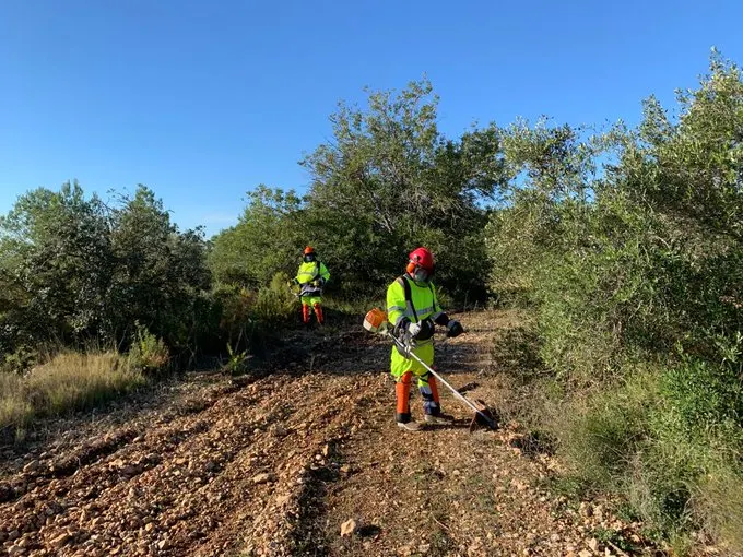 La Diputació de Tarragona obre un pla d’ocupació per donar feina a 63 persones