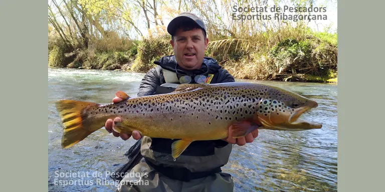 Els pescadors ja poden anar a pescar al riu.