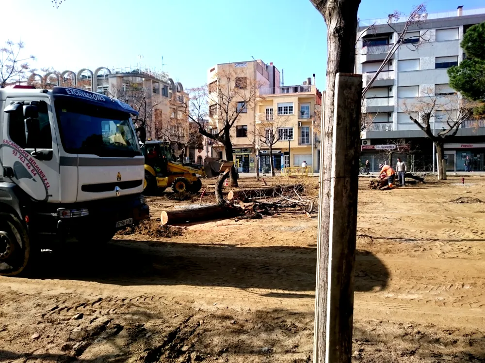 Substituiran disset arbres de la Plaça de les Mèlies per nous exemplars