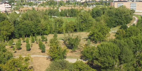 Petició a la Seu perquè s'habiliti una àrea on passejar els gossos sense corretja