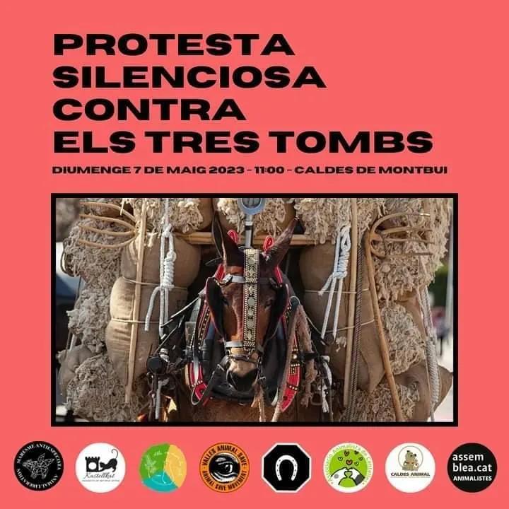 Entitats animalistes convoquen una protesta silenciosa durant la Trobada Nacional dels Tres Tombs, el 7 de maig a Caldes